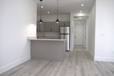 8 Oakhurst St unit 5, Dorchester Center, MA 02124 - photo 4