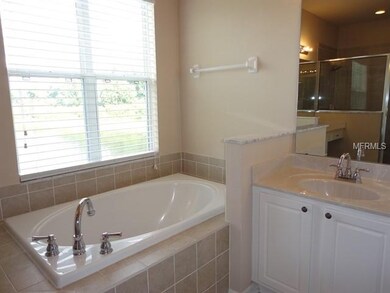 10013 Coldwater Loop, Land O Lakes, FL 34638 - photo 6