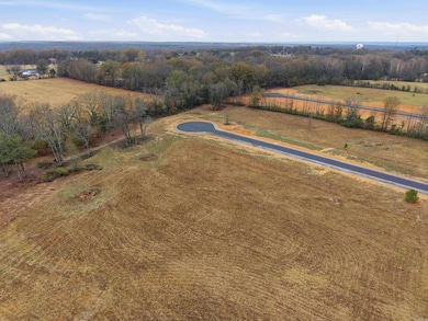 Lot 10 Crescent Cove, Ward, AR 72176 - photo 6