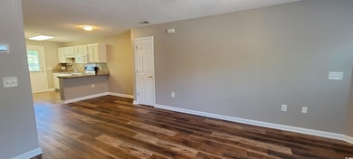 Unfurnished living room with dark wood-style floors, baseboards, and a textured ceiling