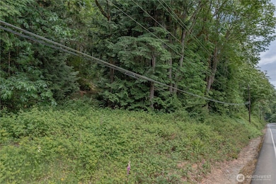 0 Highway 101 unit NWM2392594, Brinnon, WA 98320 - photo 6