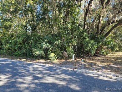 835 N Gardenview Terrace, Crystal River, FL 34429 - photo 4