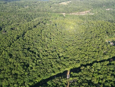 0 Laurel Lake Dr unit 1513634, Monteagle, TN 37356 - photo 7