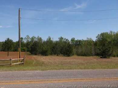 2.3 Acre Read Rd, Cameron, NC 28326 - photo 2