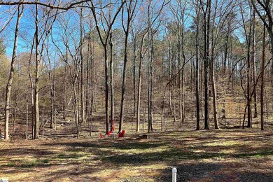 702 Serene Dr, Waterloo, SC 29384 - photo 7