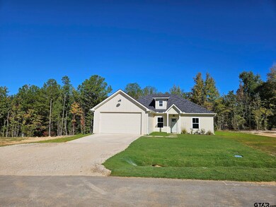 20542 Wild Arrow Ct, Arp, TX 75750 - photo 4