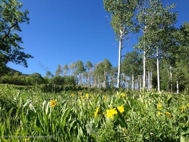 Wild Flowers on Lot