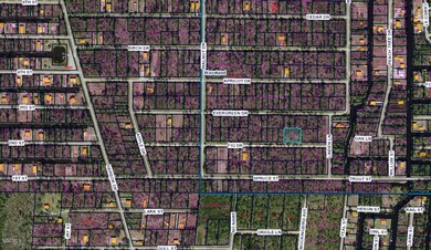79-84 FIG AERIAL 3
