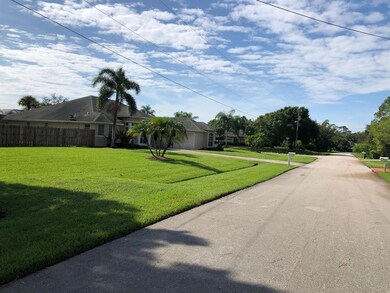 HYACINTH STREET 2