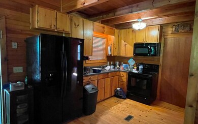 665 Shady Ln, Mineral Bluff, GA 30559 - photo 3