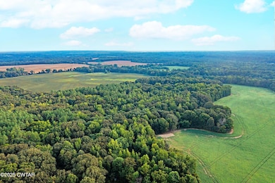 0 Vildo Rd, Bolivar, TN 38008 - photo 6