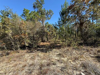 00 Monroe, Dunnellon, FL 34431 - photo 5