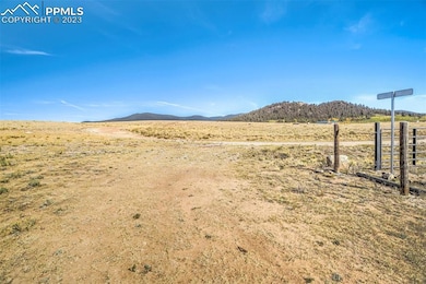 4250 Ute Trace Rd, Hartsel, CO 80449 - photo 3