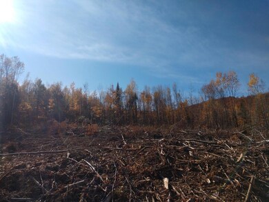 L 6 Tolman Hill Rd, Carroll Plantation, ME 04487 - photo 3