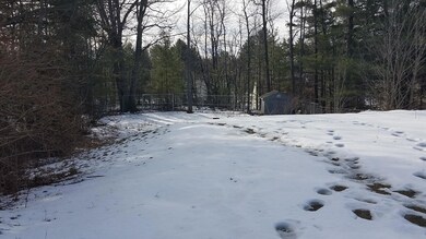 02. Backyard