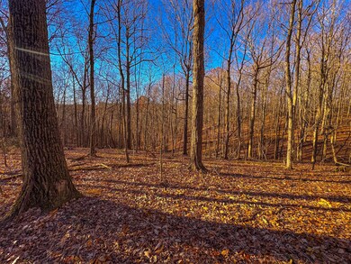 0 Oak Grove Rd, Waverly, WV 26184 - photo 3