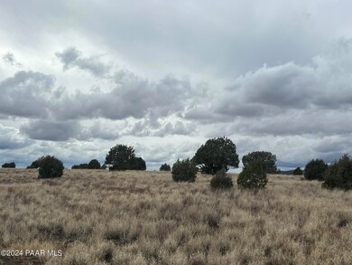 60 Off of Rawhide Ranch Rd, Ash Fork, AZ 86320 - photo 3