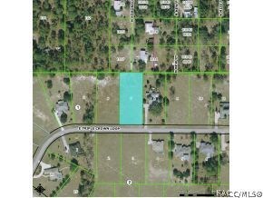 1051 E Triple Crown Loop, Hernando, FL 34442 - photo 2