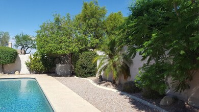 Back yard2