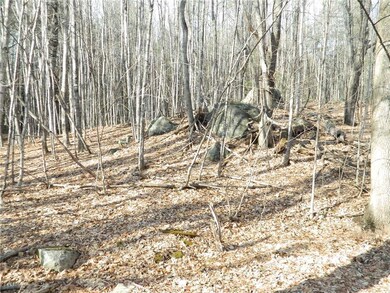 0 Middle Rd unit 1252264, Parsonsfield, ME 04047 - photo 3