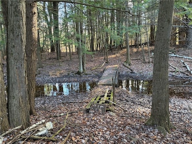 482 County Route 11, West Monroe, NY 13167 - photo 6