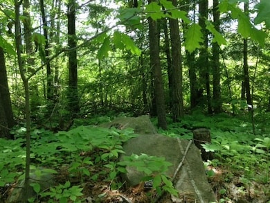 0 Elm St, Leominster, MA 01453 - photo 2