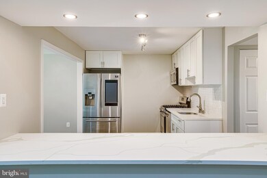 1648 Parkcrest Cir unit 301, Reston, VA 20190 - photo 5