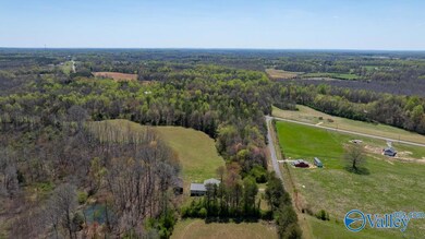 7204 Jernigan Hollow Rd, Athens, AL 35614 - photo 6