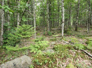 image000003(6)