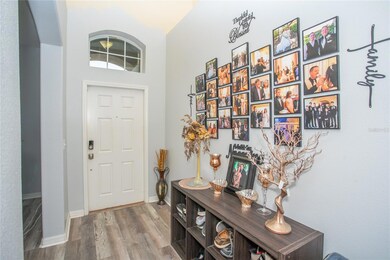 10924 Rainbow Pyrite Dr, Wimauma, FL 33598 - photo 7