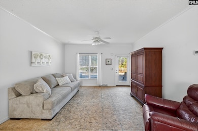 166 Cooper Pond Rd, Salley, SC 29137 - photo 6