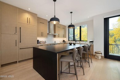 42 Riverfront Ln unit 2, Avon, CO 81620 - photo 5