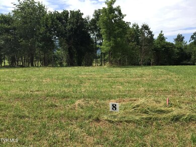 8 Laws Rd, Greeneville, TN 37743 - photo 3