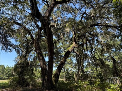 0 Sunbury Rd unit Tract 6 SA339082, Daisy, GA 30417 - photo 5