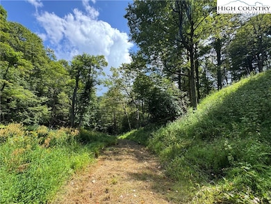 TBD Wyeth Dr, Blowing Rock, NC 28605 - photo 6