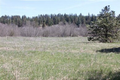 20802 N Riverrun Ln, Colbert, WA 99005 - photo 4