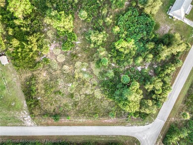 1307 Taft Ave, Lake Placid, FL 33852 - photo 7