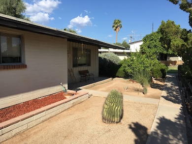front landscaping