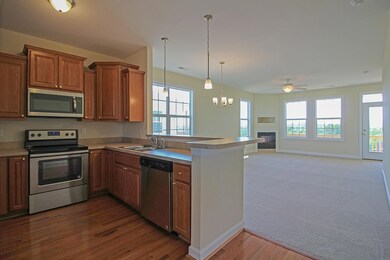 72 Windgate Cir unit 204, Fishersville, VA 22939 - photo 4