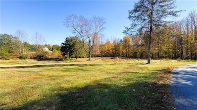 3.1 AC +/- Long Valley Rd, Greensboro, NC 27410 - photo 6