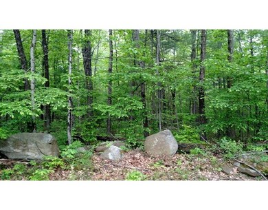 1 Moulton Hill Extension, Monson, MA 01057 - photo 6