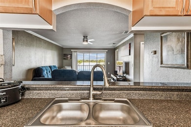 10101 Sailwinds Blvd S unit 203, Largo, FL 33773 - photo 7