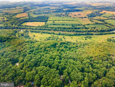 41 Laurel Ln, Bluemont, VA 20135 - photo 7