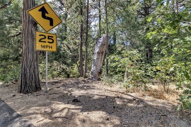 0 N Circle Dr unit 2010821, Idyllwild, CA 92549 - photo 3