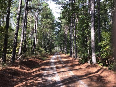 0 Carter Hollow Rd unit 2000039, Linden, TN 37096 - photo 6