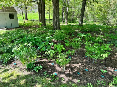 Right Side Garden