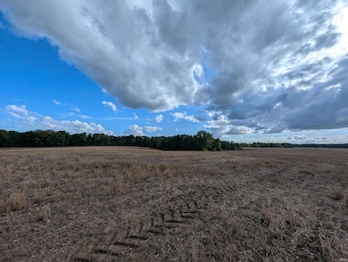 0 Cr 375 S, Loogootee, IN 47553 - photo 6