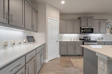 2421 Matador Ranch Dr, Weatherford, TX 76087 - photo 3