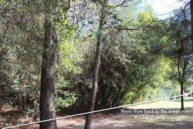 27315 E Benders Landing Blvd, Spring, TX 77386 - photo 3