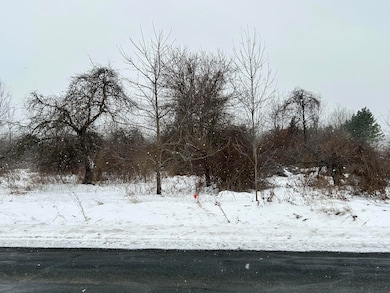 1614 66th St, Fennville, MI 49408 - photo 4